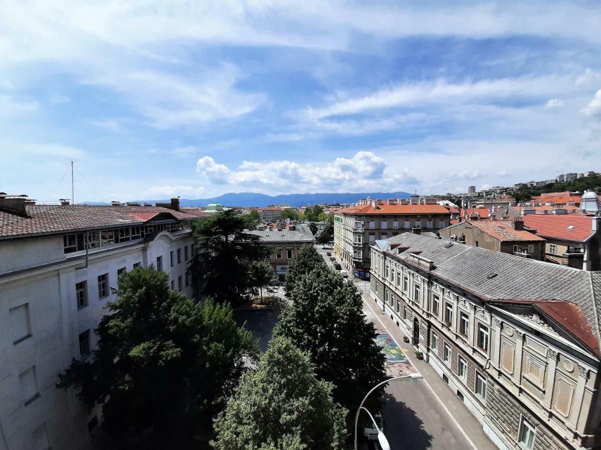 Gallery Apartman *
